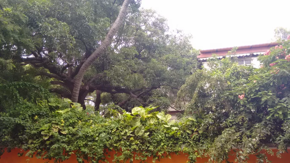 Photo of White Town, Puducherry, India by Komal Narsinghani