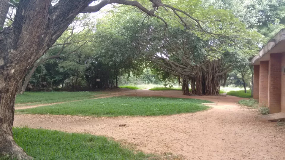 Photo of Auroville Ashram, Golden Globe, Auroville, Bommayapalayam, Tamil Nadu, India by Komal Narsinghani