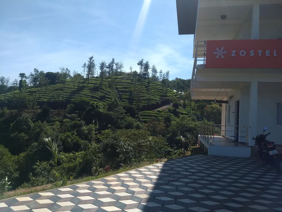 Photo of Thekkady, Kerala, India by Komal Narsinghani