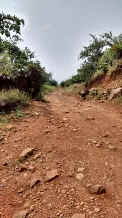 Photo of Rajmachi Point, Khandala, Lonavala, Maharashtra, India by Satwik Khanna