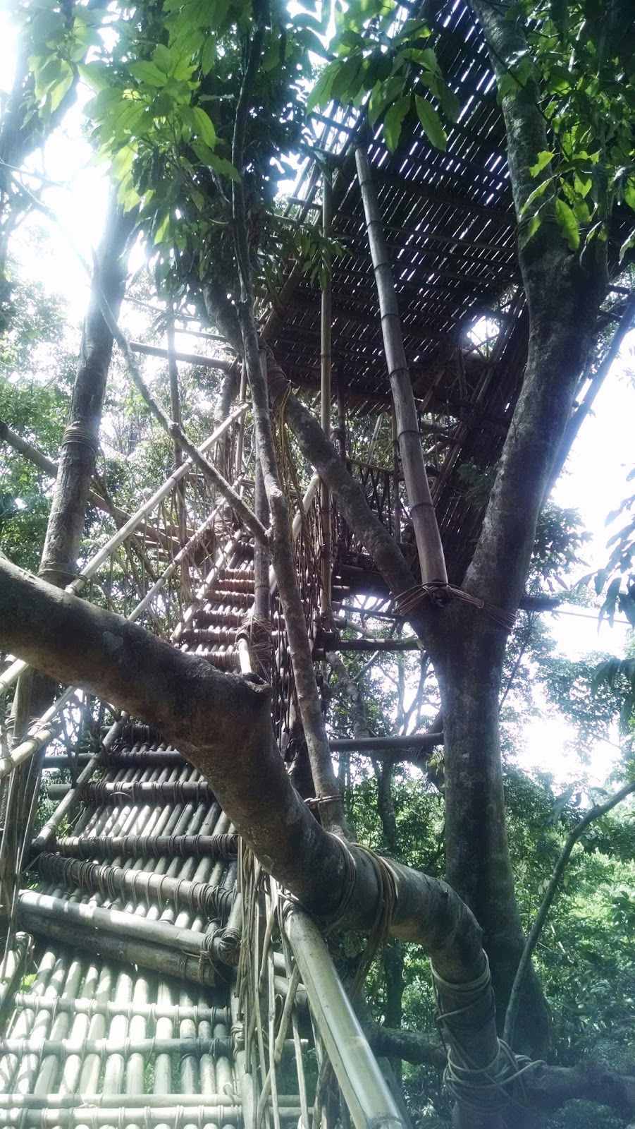 Photo of Shillong - Gateway to the Living Root Bridges 3/12 by Moumita Das