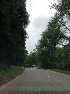 Photo of Shillong - Gateway to the Living Root Bridges 5/12 by Moumita Das