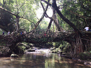 Photo of Shillong - Gateway to the Living Root Bridges 6/12 by Moumita Das