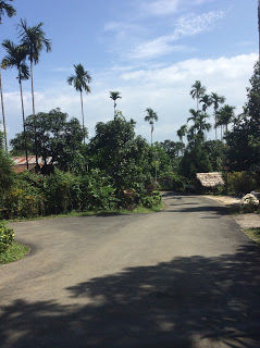 Photo of Shillong - Gateway to the Living Root Bridges 8/12 by Moumita Das