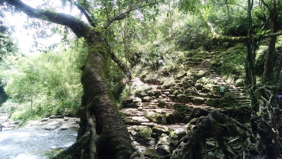 Photo of Shillong - Gateway to the Living Root Bridges 12/12 by Moumita Das