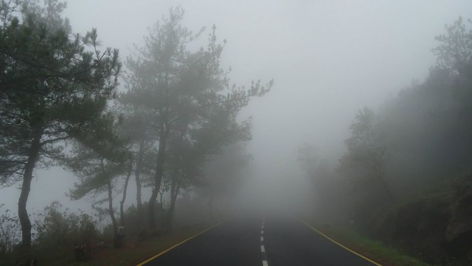 Photo of Backpacking across North-East India 7/28 by Pluto Panes