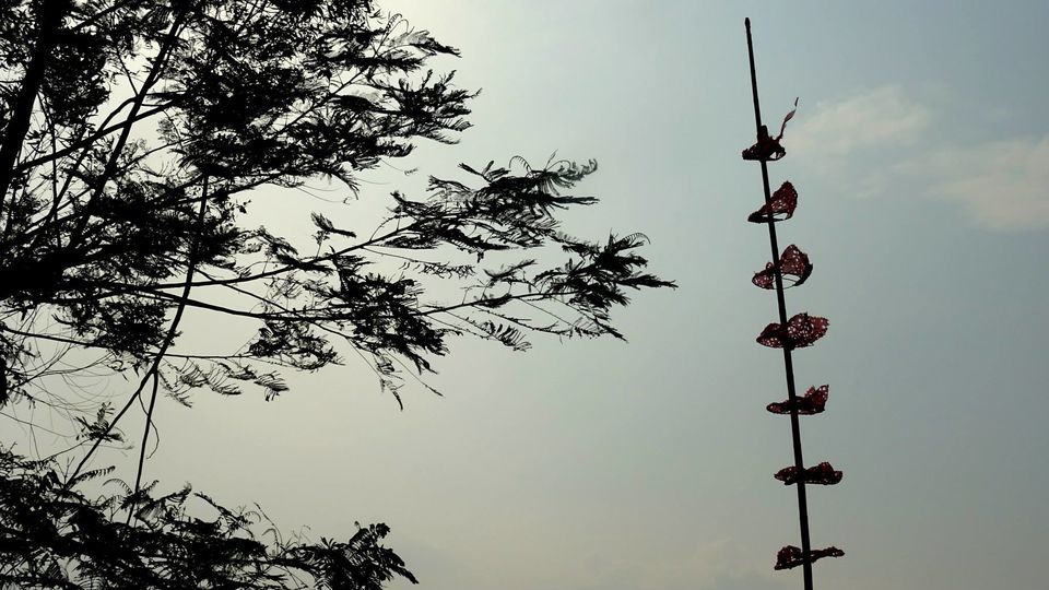 Photo of Backpacking across North-East India 14/28 by Pluto Panes