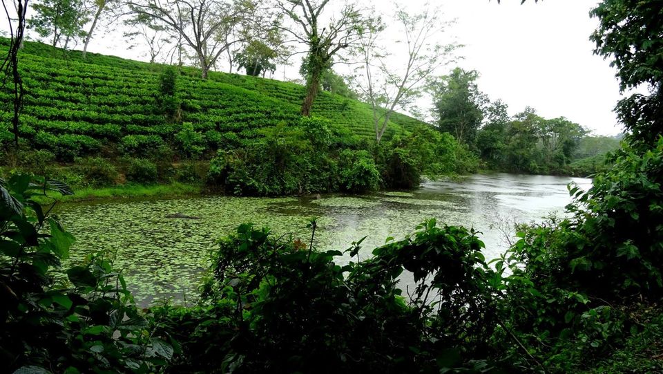 Photo of Backpacking across North-East India 2/28 by Pluto Panes