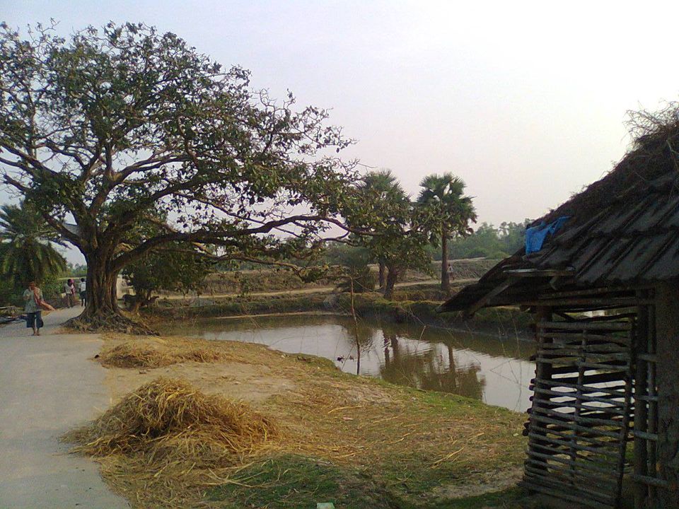 Photo of Rolling Stoned: Sagar Island and Jatar Deul 10/15 by Pluto Panes