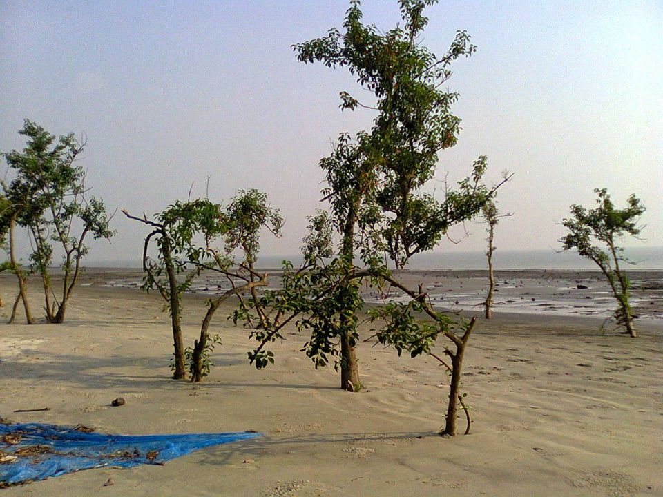 Photo of Rolling Stoned: Sagar Island and Jatar Deul 11/15 by Pluto Panes