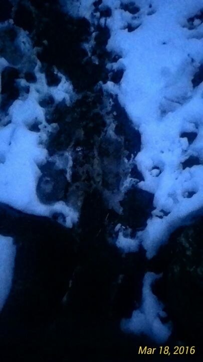 Photo of Kasol- 60 hours by Ammar Abu