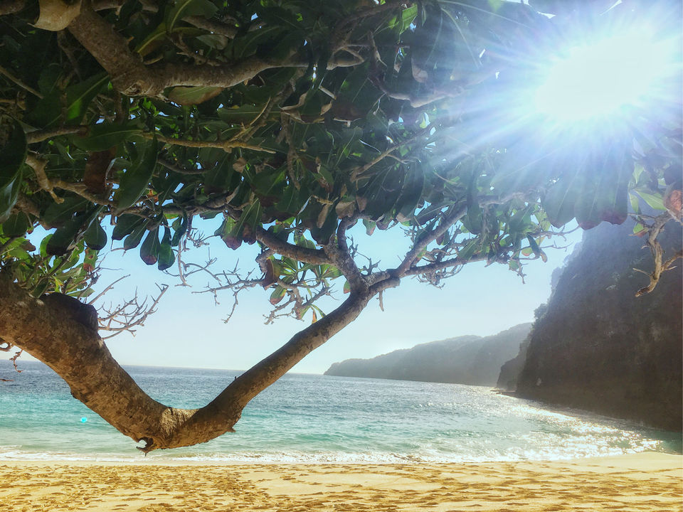 Photo of Kelingking Beach, Nusa Penida, Denpasar, Bunga Mekar, Klungkung Regency, Bali, Indonesia by Rohini Roy
