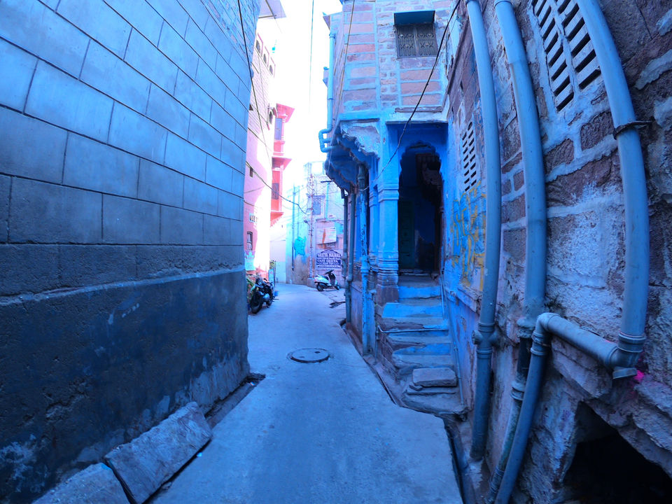 Photo of 8 Things To Do In Jodhpur by Rohini Roy