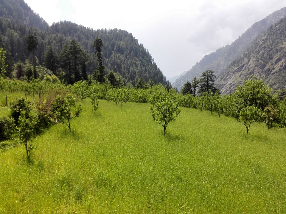 Photo of Picturesque Pulga 2/6 by Ankeeta Bboruah