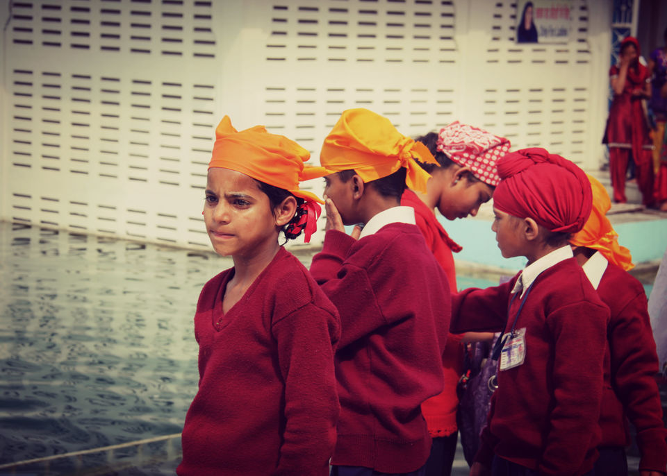 Photo of Golden Temple Amritsar, Amritsar, Punjab, India by Sara Suri
