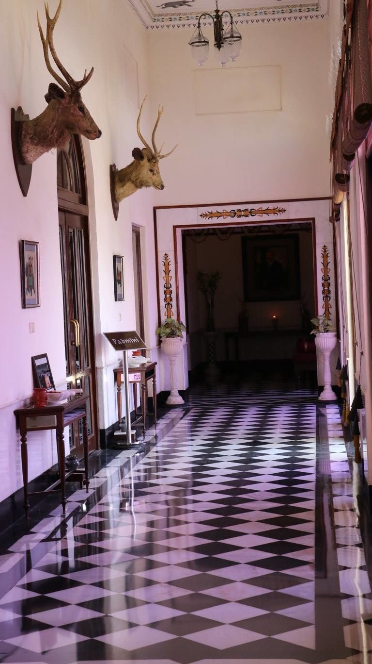 Photo of The city of lakes, Udaipur: A photo diary 10/32 by Sara Suri
