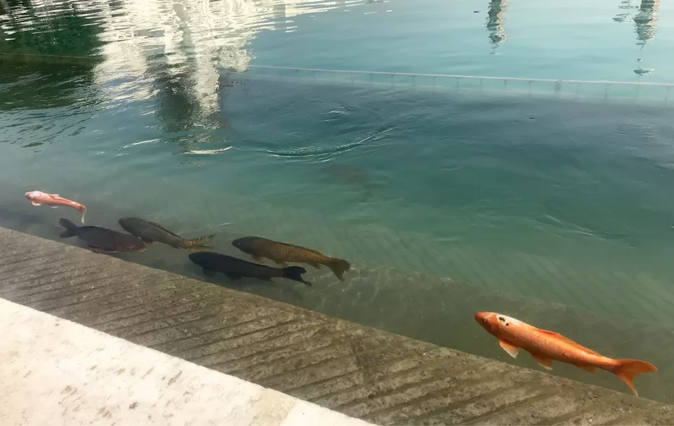 Photo of Golden Tulip Amritsar, Grand Trunk Road, Model Town, Guru Arjun Nagar, Amritsar, Punjab, India by Pavsi Saxena