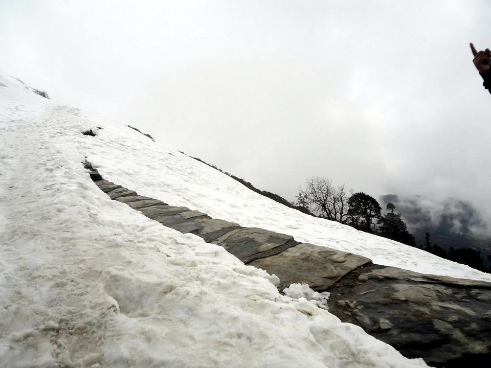 Photo of Trek to the Lord of Peaks : Tungnath 7/11 by Pavsi Saxena