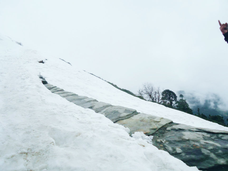 Photo of Trek to the Lord of Peaks : Tungnath by Pavsi Saxena