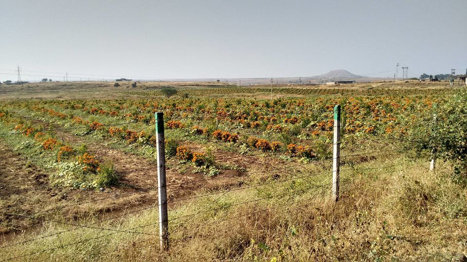 Photo of Saputara Road Trip 10/10 by Roshan