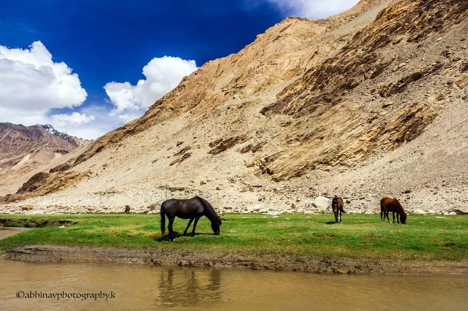 Photo of Leh by Abhinav Kumar