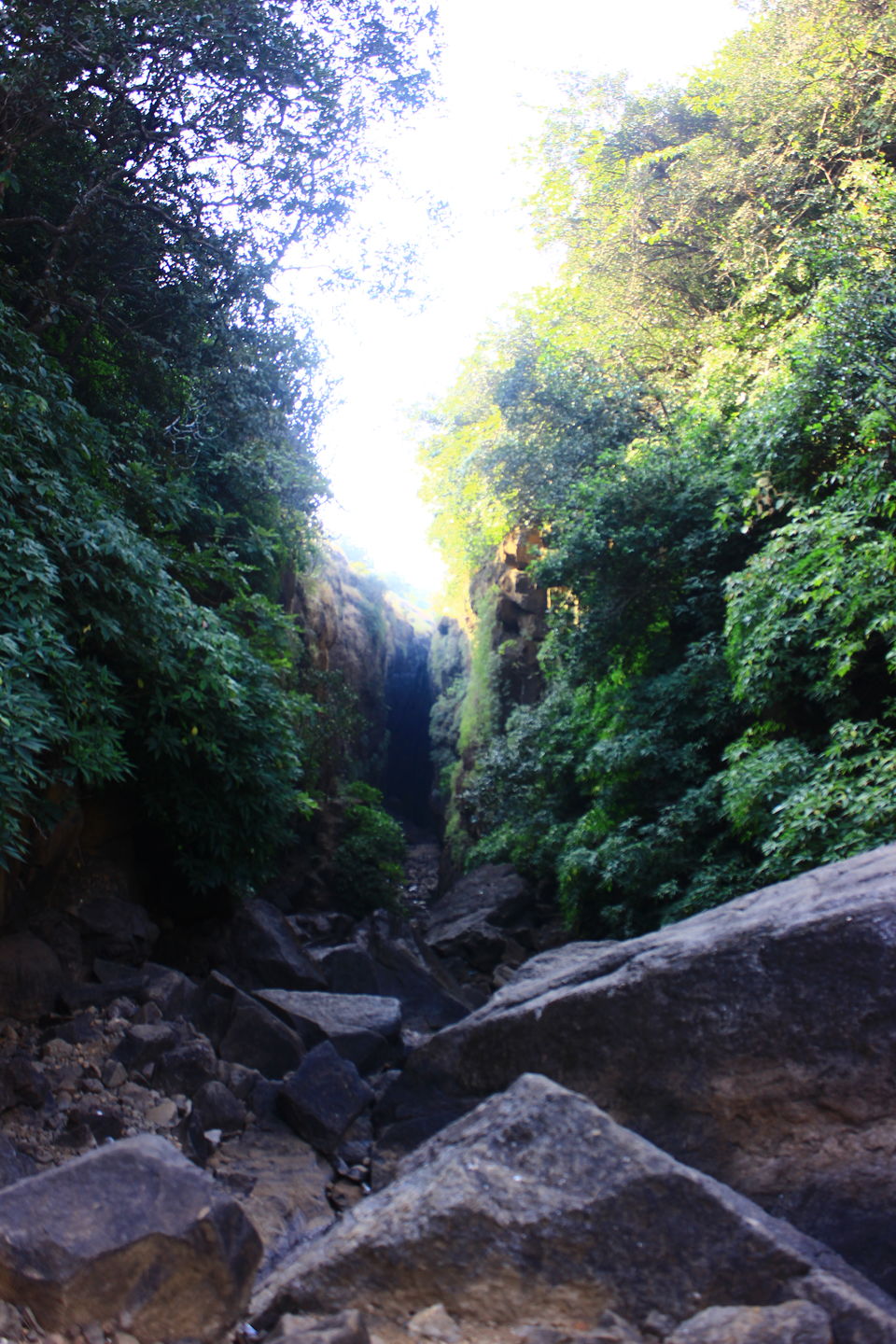 Photo of Unplanned adventure !!! by Nikunj Khorava