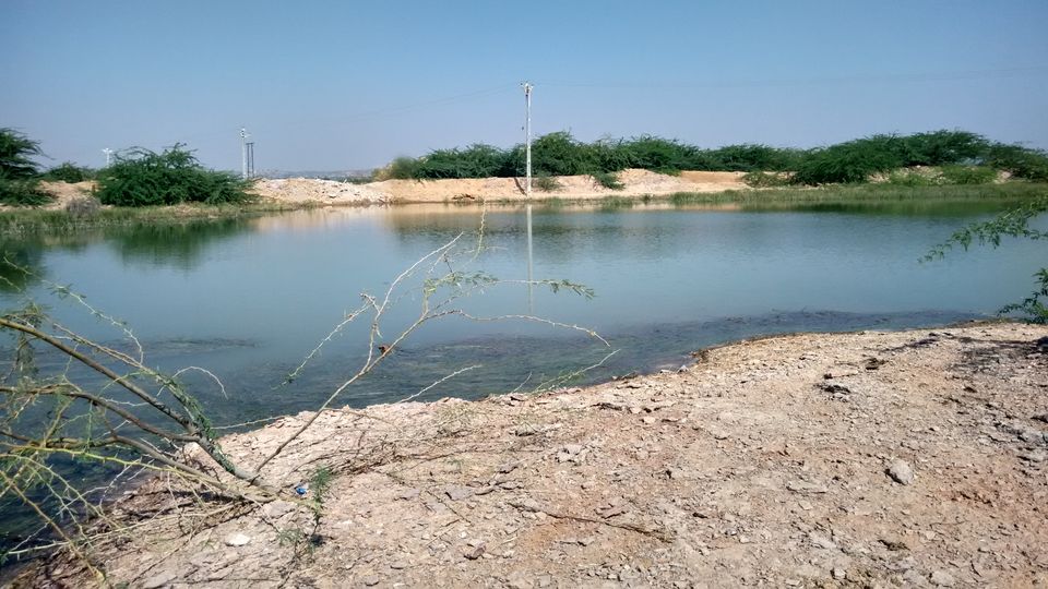 Photo of Mumbai to Rann of Kutch: An Unforgettable Road Trip 6/20 by Saurabh Prasad