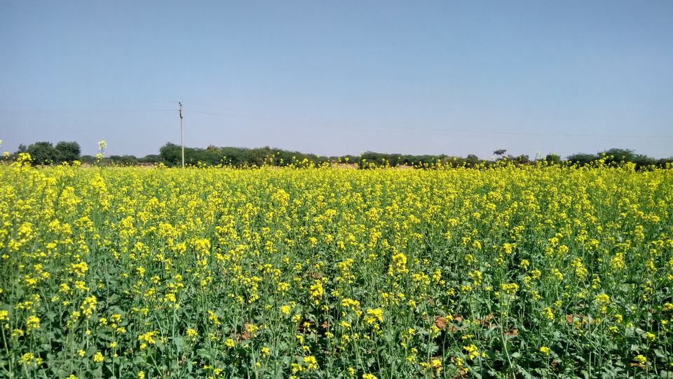Photo of Mumbai to Rann of Kutch: An Unforgettable Road Trip 7/20 by Saurabh Prasad