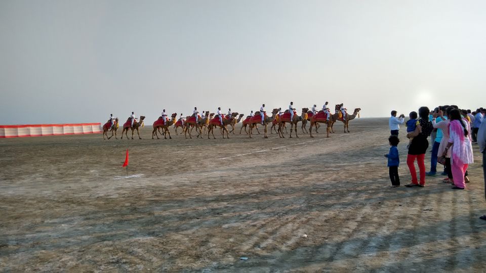 Photo of Mumbai to Rann of Kutch: An Unforgettable Road Trip 15/20 by Saurabh Prasad