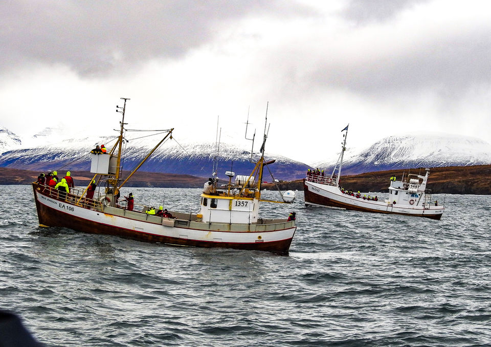 Photo of 10 reasons why Iceland should be in your bucket list 85/146 by Sourav Das