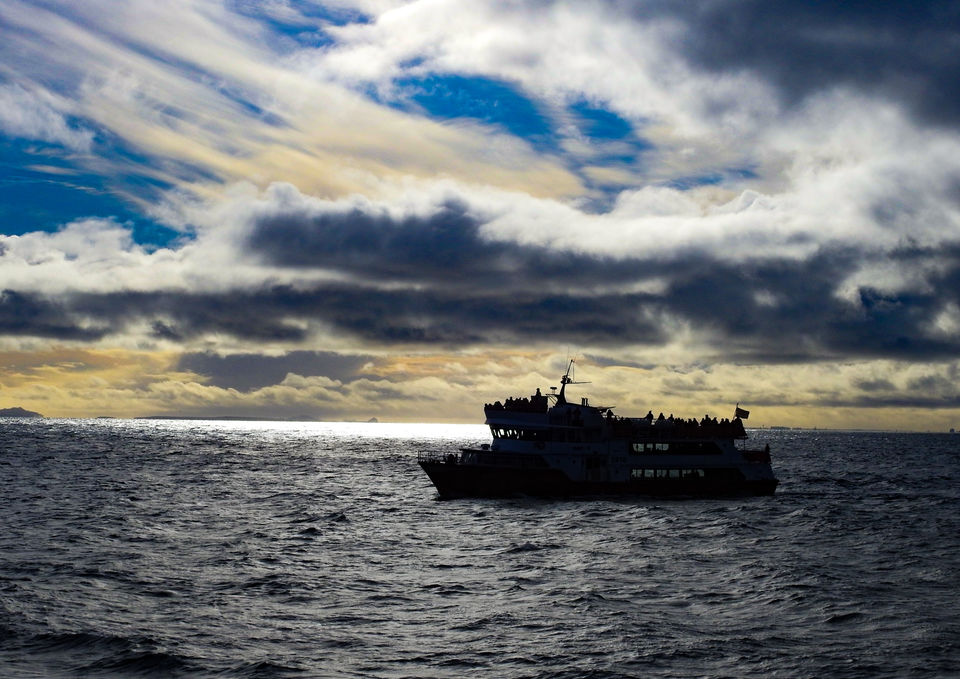 Photo of 10 reasons why Iceland should be in your bucket list 107/146 by Sourav Das