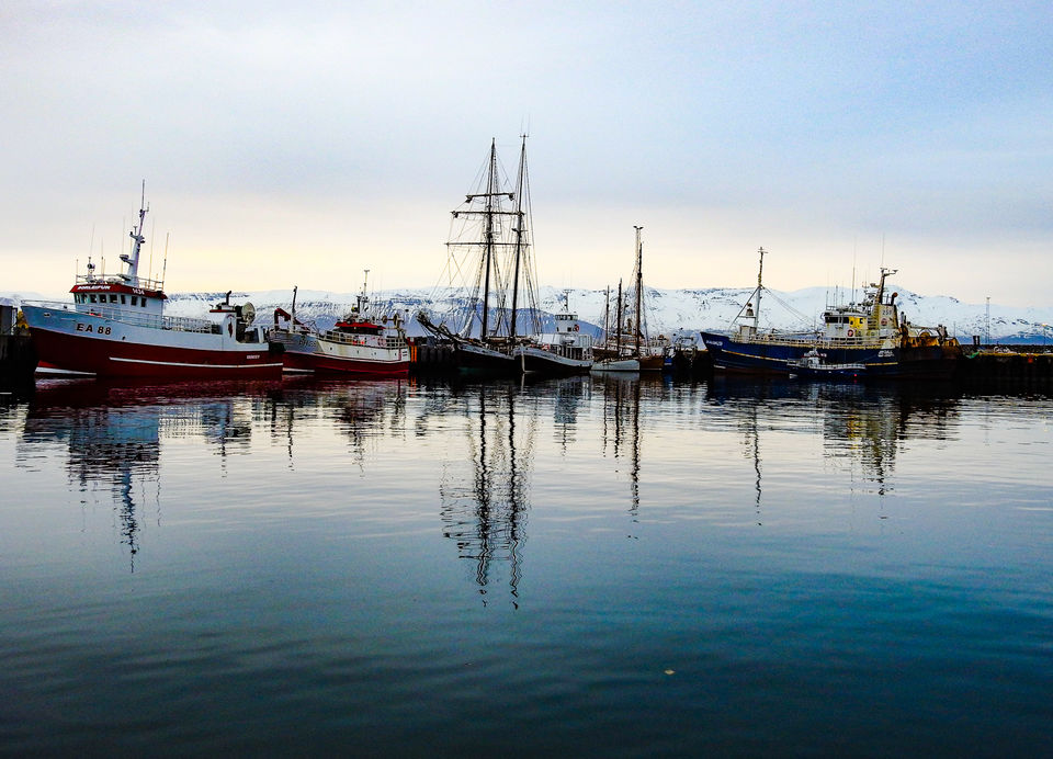 Photo of 10 reasons why Iceland should be in your bucket list 133/146 by Sourav Das
