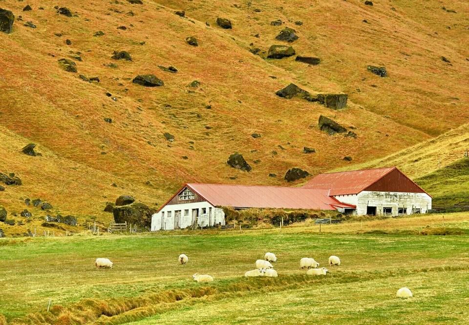 Photo of 10 reasons why Iceland should be in your bucket list 59/146 by Sourav Das
