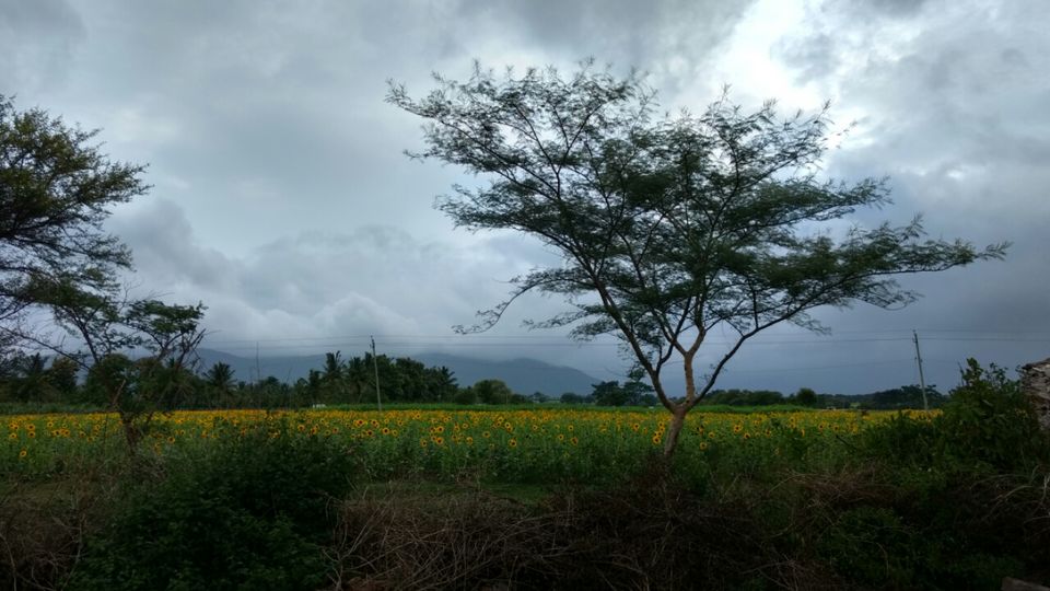 Photo of Motorcycle Trip from Mysore To Ooty (36 hair pin bend curve). by Rakesh Ranjan