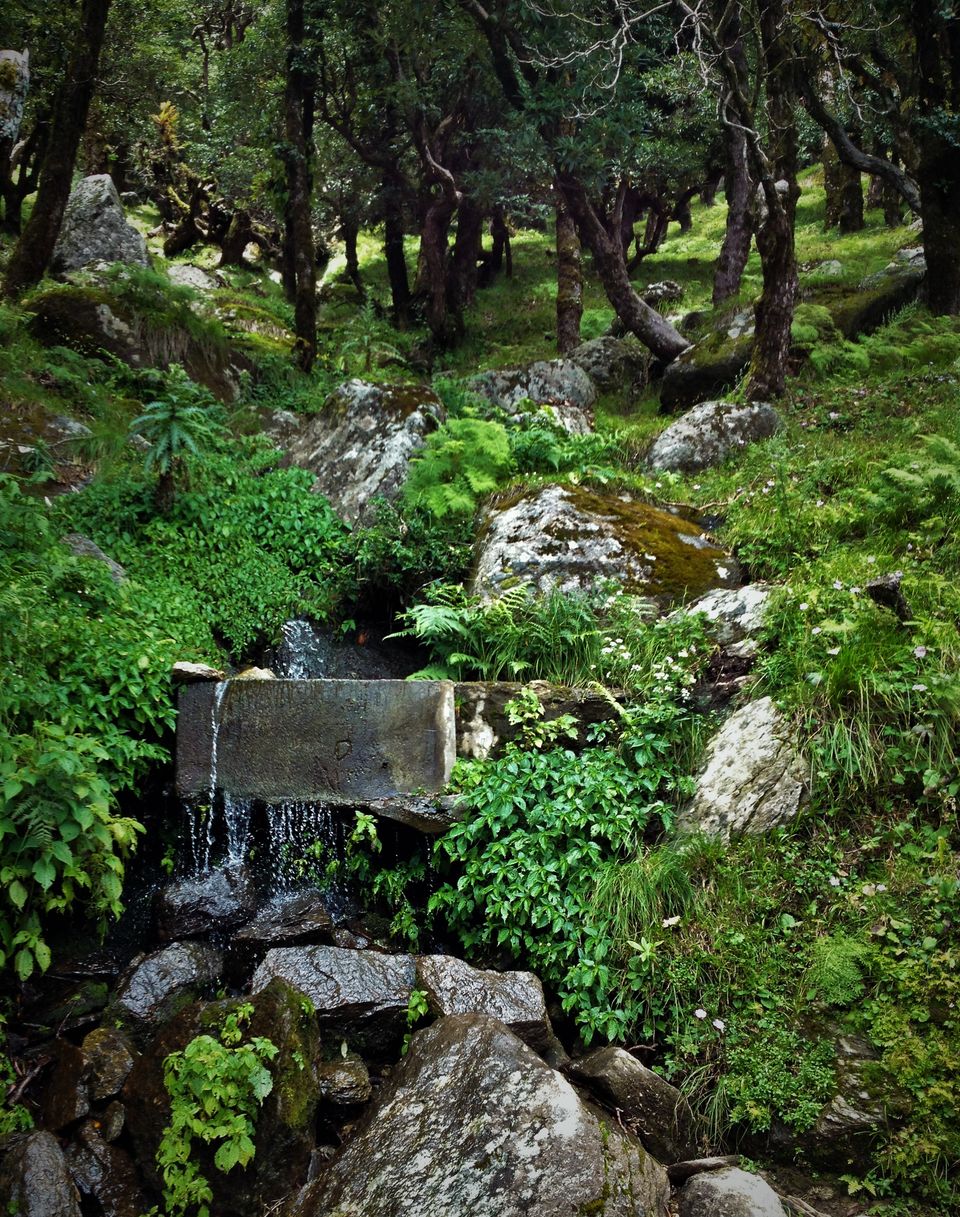 Photo of Shiva's Abode-Churdhar 16/28 by Sannidhya Glodha