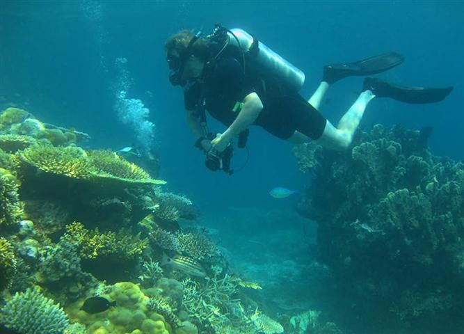 Photo of Andaman Islands, North and Middle Andaman, Andaman and Nicobar Islands, India by Surabhi Sinha