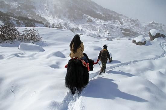 Photo of Sikkim, India by Surabhi Sinha