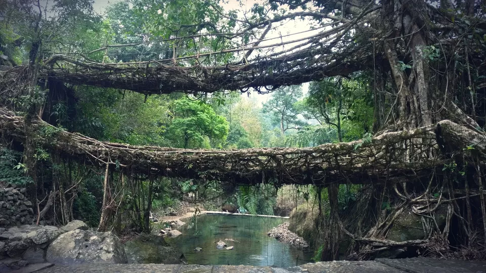 Photo of Nongriat, Meghalaya, India by Surabhi Sinha