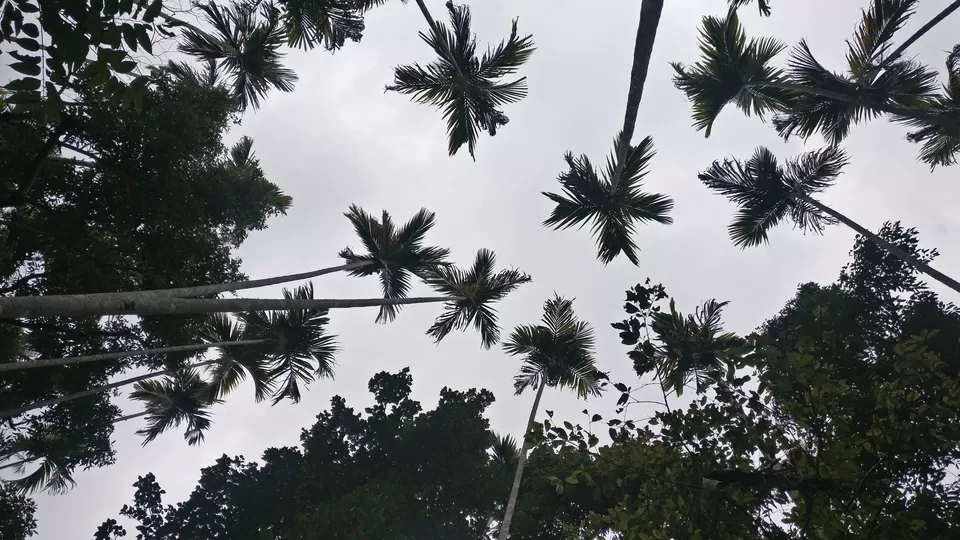Photo of Dawki, Meghalaya, India by Surabhi Sinha