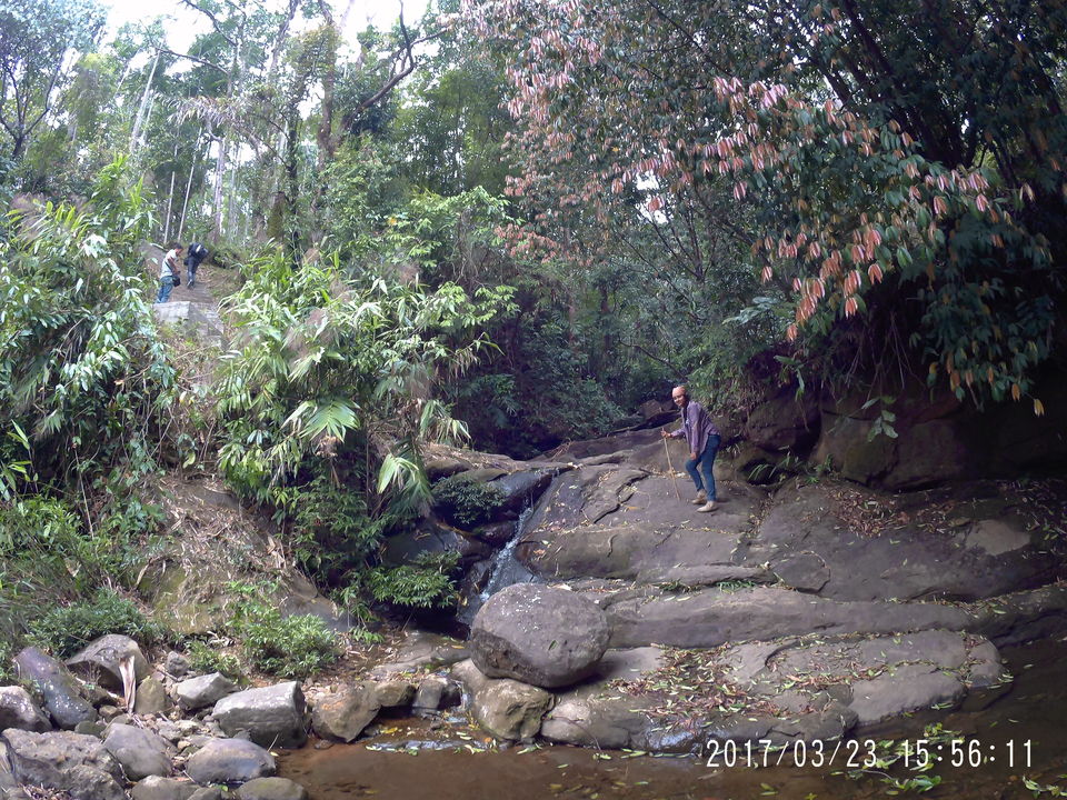 Photo of Tamabil, Sylhet Division, Bangladesh by Surabhi Sinha