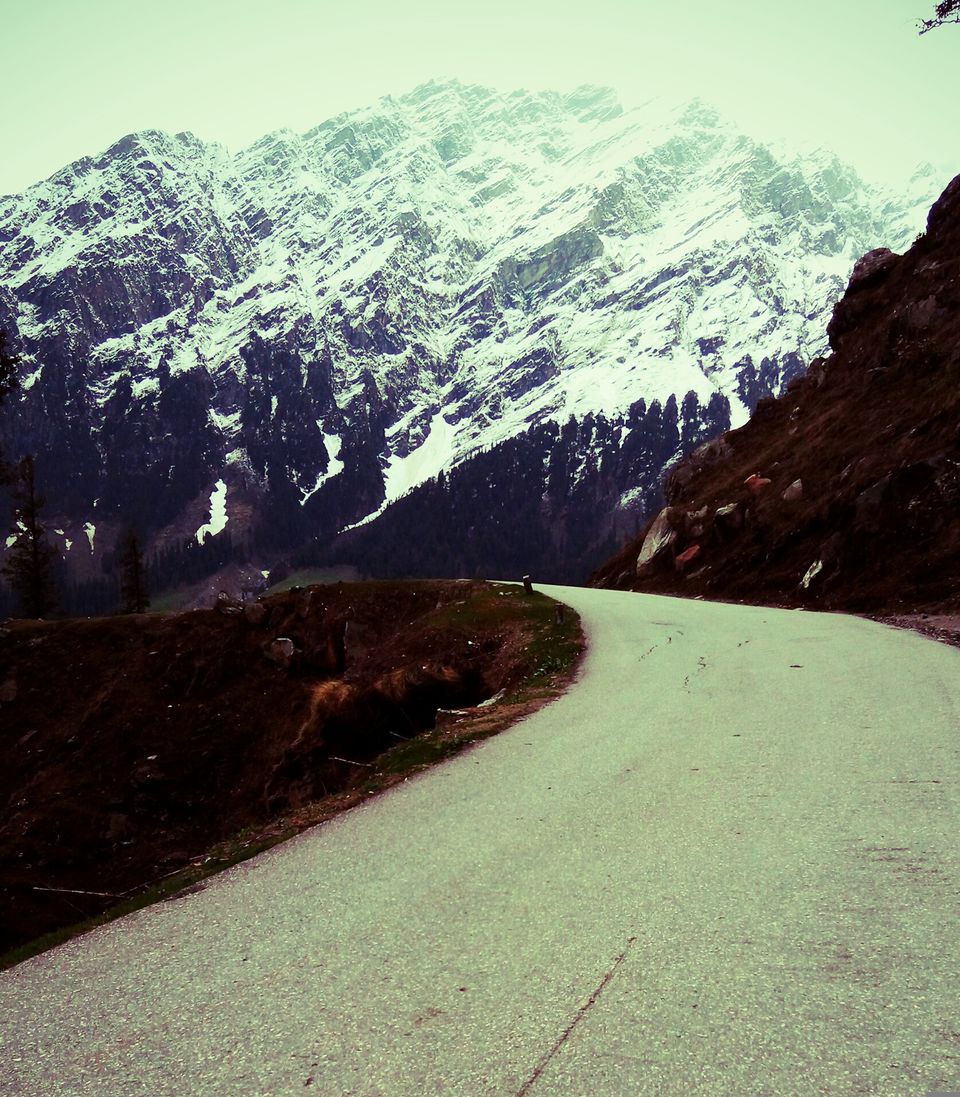 Photo of 10 must do things in Manali 5/13 by Vinay Chelwani
