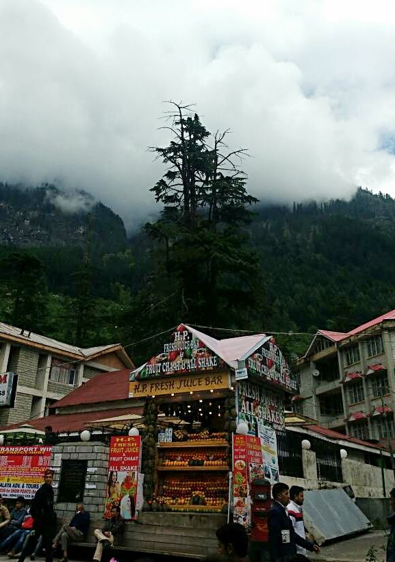 Photo of 10 must do things in Manali 11/13 by Vinay Chelwani