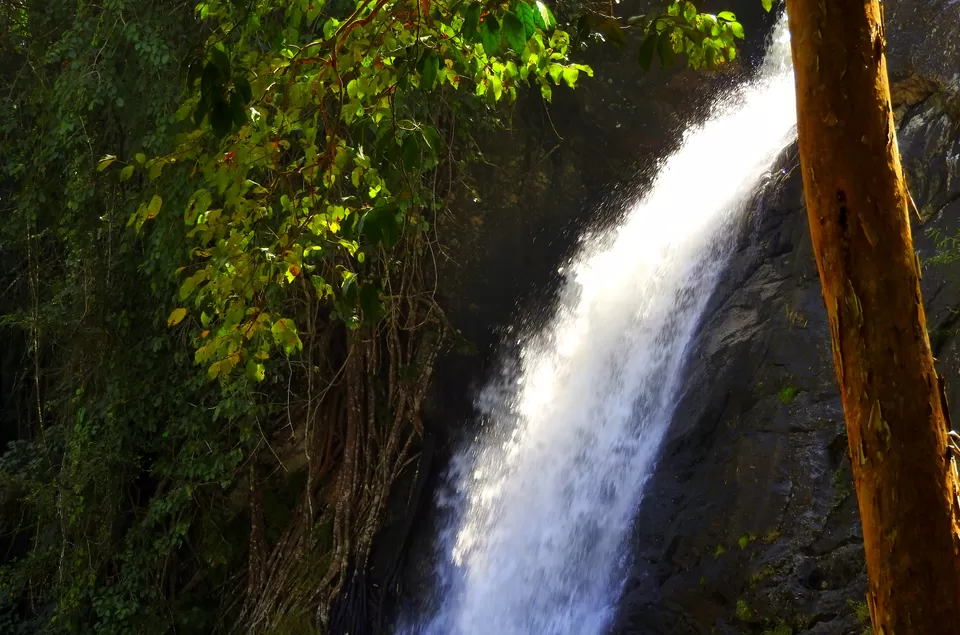 Photo of Soochipara Waterfalls, Wayanad, Kerala, India by Jishnu Ambadi