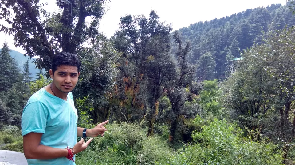Photo of Dharamkot, Punjab, India by Pankaj Solanki