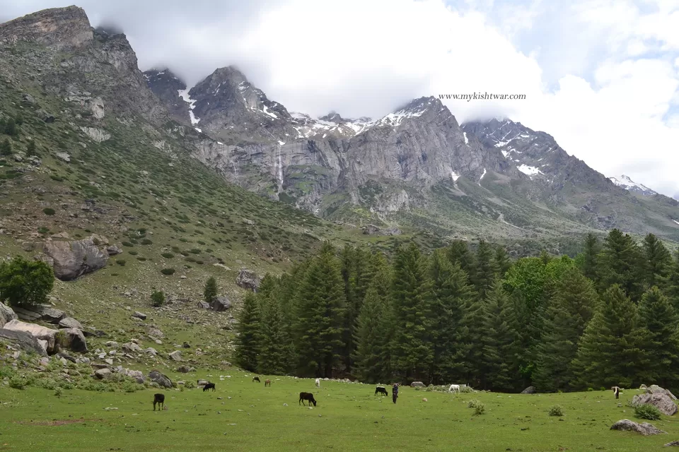 Photo of Chatter Chinna Dachhan - Way to Brahma Peaks by Pardeep Parihar