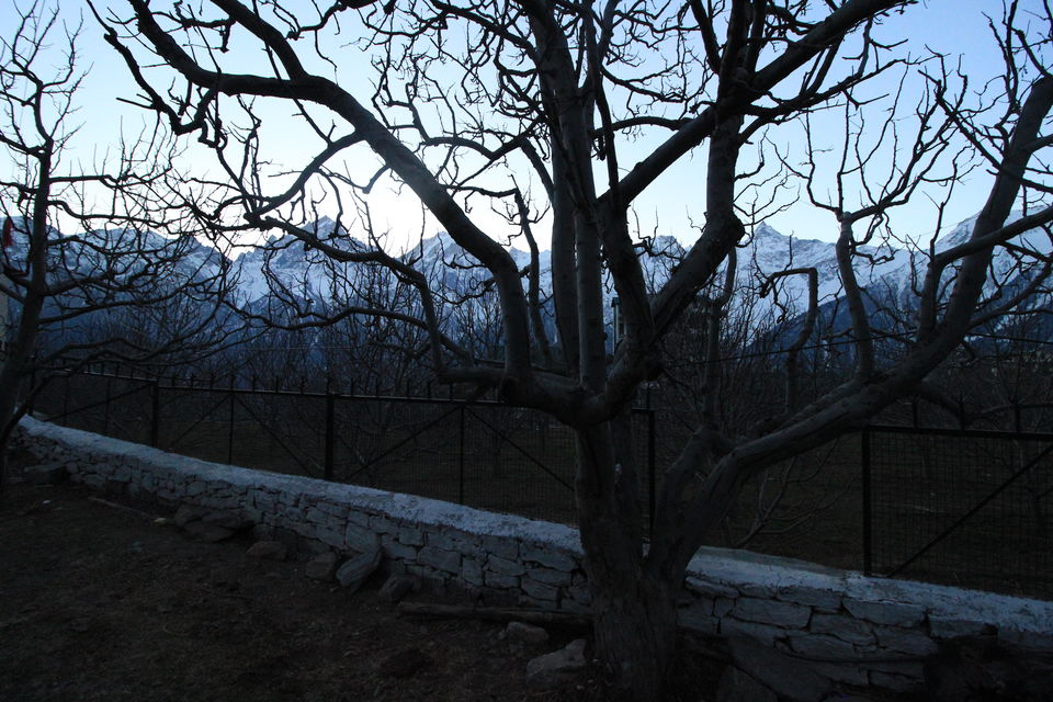 Photo of Wild Wild North - Experiencing winter in Spiti 5/50 by Saumitra Shinde