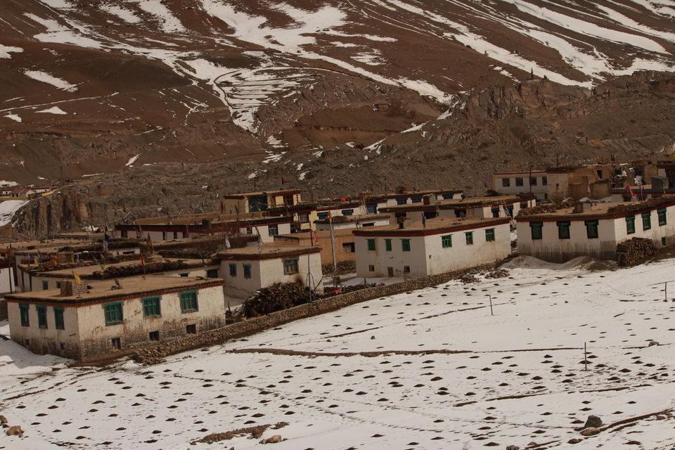 Photo of Wild Wild North - Experiencing winter in Spiti 33/50 by Saumitra Shinde