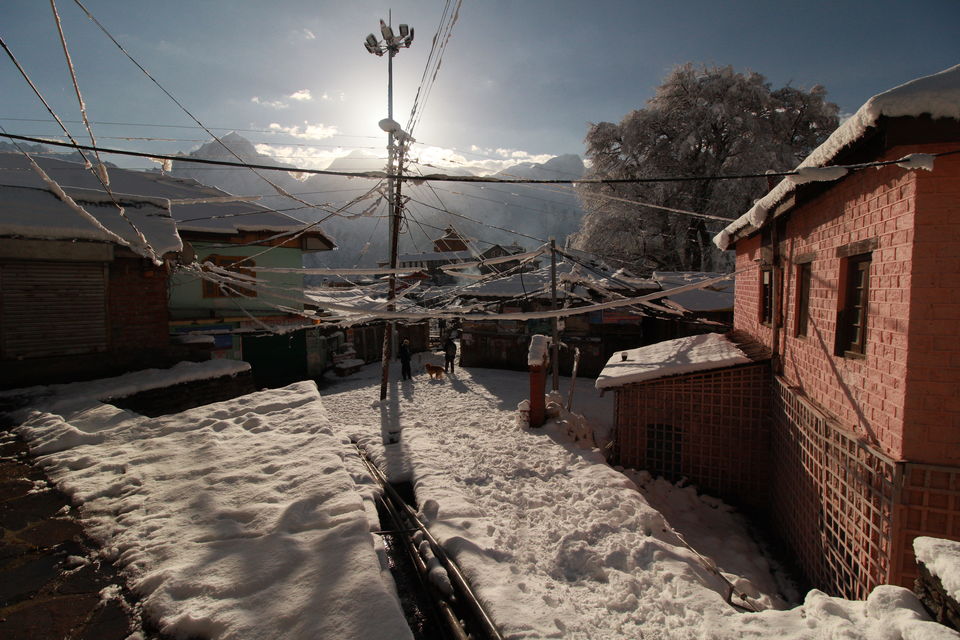 Photo of Wild Wild North - Experiencing winter in Spiti 43/50 by Saumitra Shinde