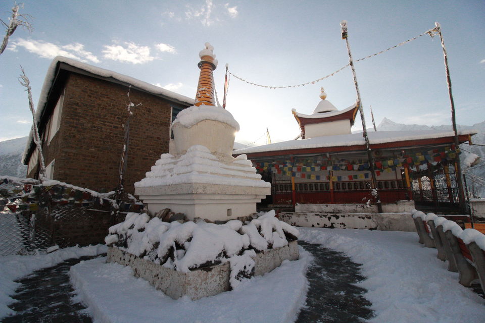 Photo of Wild Wild North - Experiencing winter in Spiti 45/50 by Saumitra Shinde