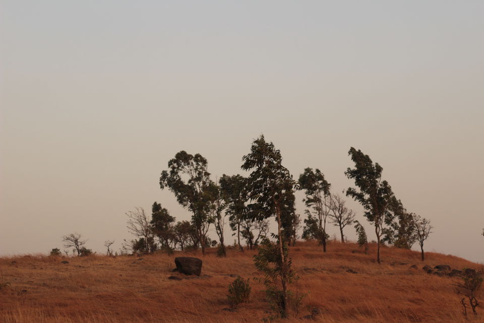 Photo of A day in the hinterland of India... 6/7 by Saumitra Shinde
